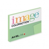Image Coloraction A4 Jungle 80g, 100 listů