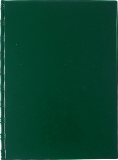 Kancelářské desky A4 s bočními kapsami zelené